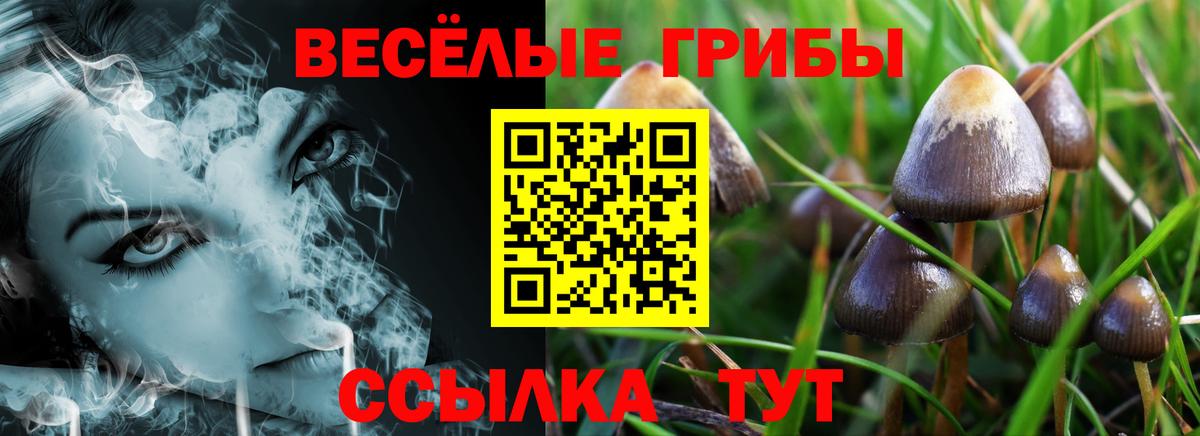 Галлюциногенные грибы MAGIC MUSHROOMS Нурлат